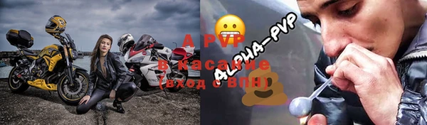 стаф Аркадак