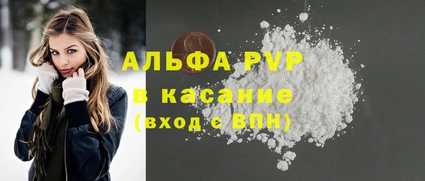 стаф Аркадак