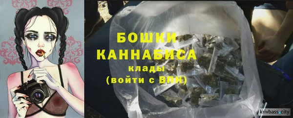 стаф Аркадак